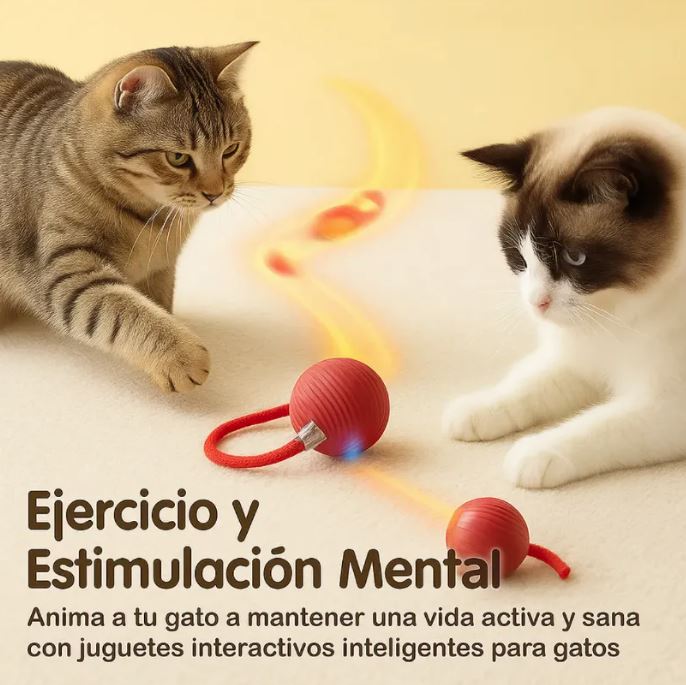 Pelota Interactiva Para Mascotas